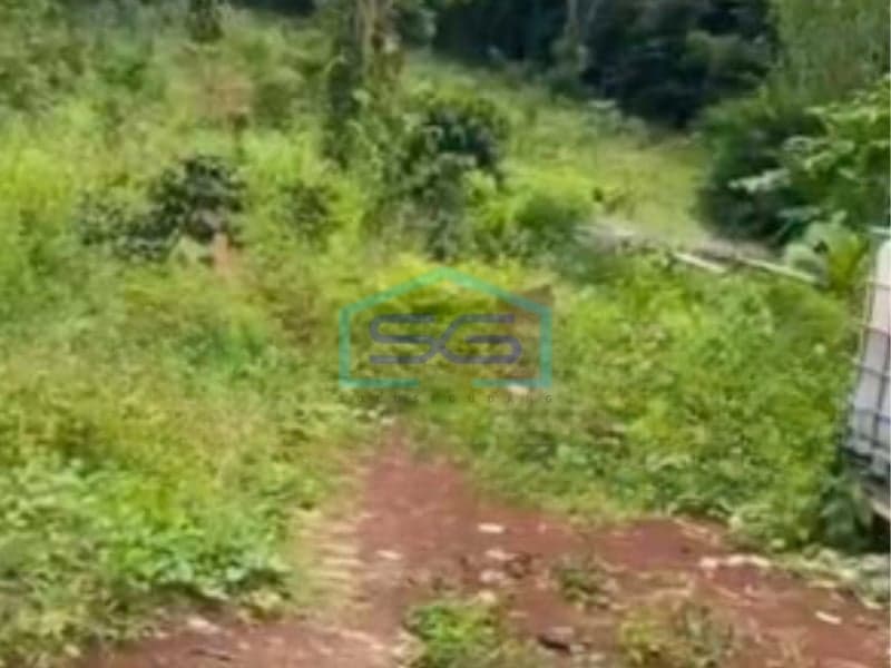 Dijual Tanah Luas 10136 m² Bebas Banjir Strategis di Lebak Banten