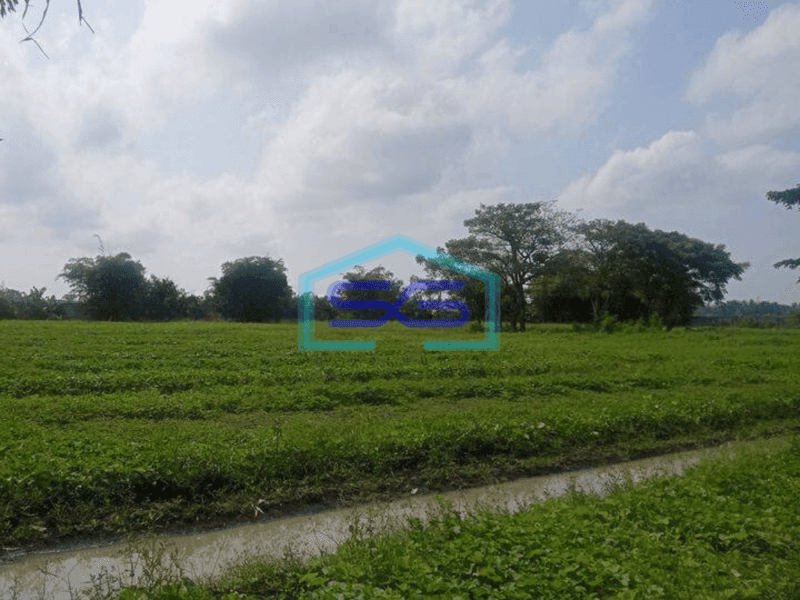 Dijual Tanah 15.229m Sepatan Tangerang