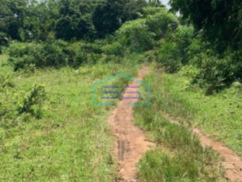 For Sale Land in Flood-Free Location, Serang Banten, 9013 sqm