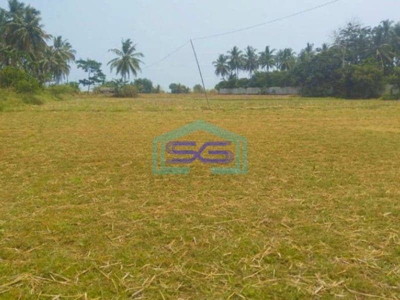 Dijual Cepat Tanah Di Panimbang Pandeglang Banten 1.5 Ha Pinggir Jalan Utama Murah