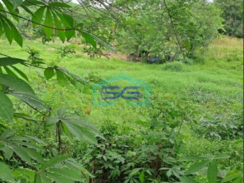 Dijual Tanah Strategis di Batu Jajar Ci Gudeg Bogor Luas Tanah 46000m2