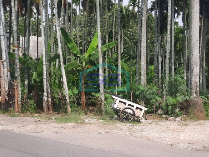 Dijual Cepat Tanah di Sawangan Depok Jawa Barat Luas Tanah 2350 m²