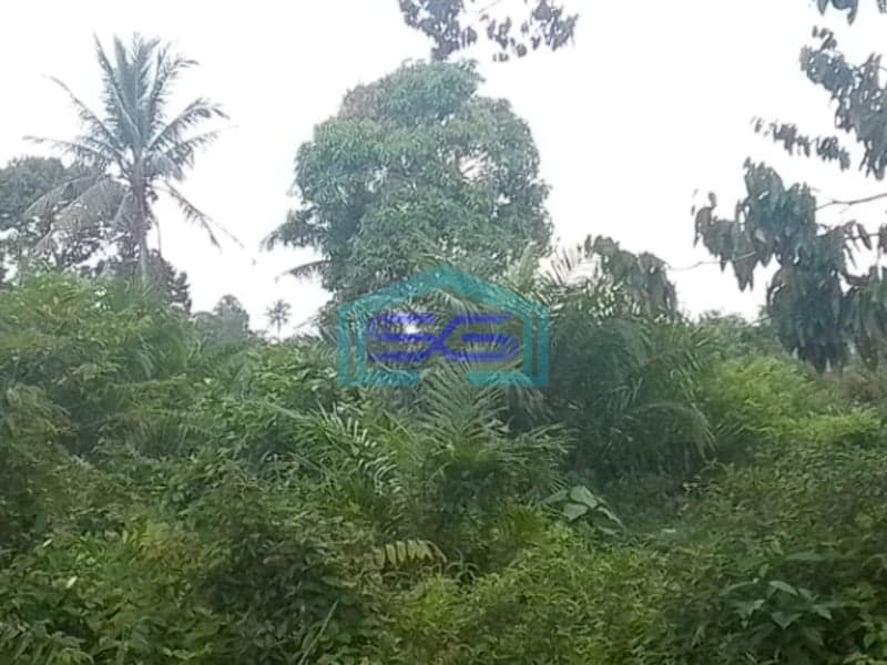Dijual Tanah Siap Bangun di Sei Selincah Palembang Luas Tanah 24224m2