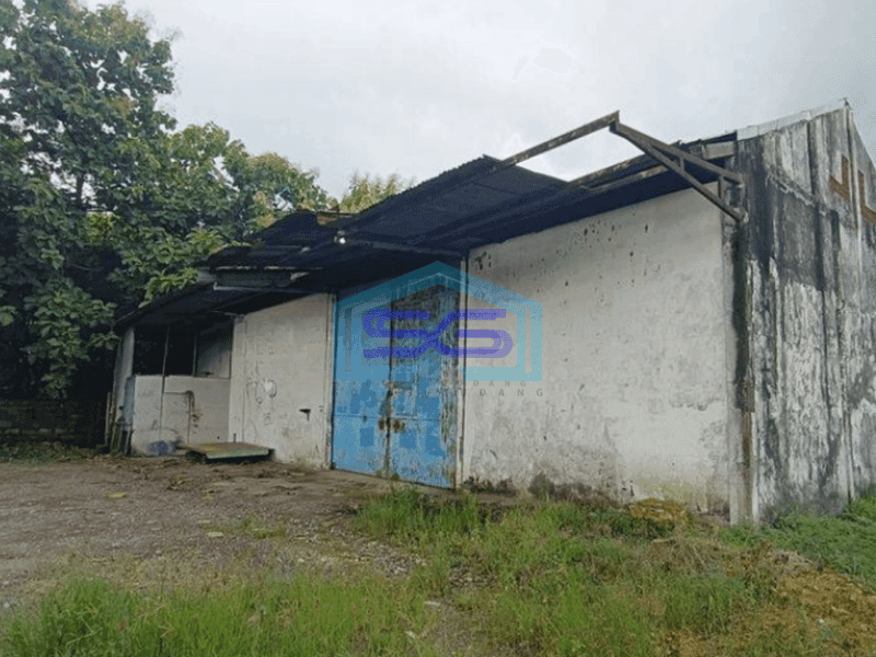 Dijual Gudang Murah Meriah Nol Jl Raya Cerme Benjeng Gresik Dekat Surabaya LT 1624m2