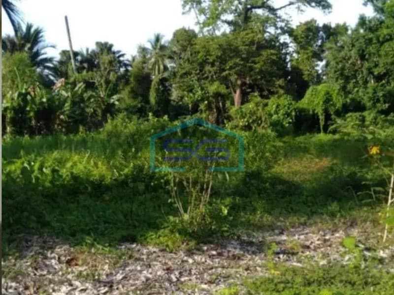 For Sale Land 16500 m² In North Minahasa North Sulawesi Suitable For Warehouse And Office