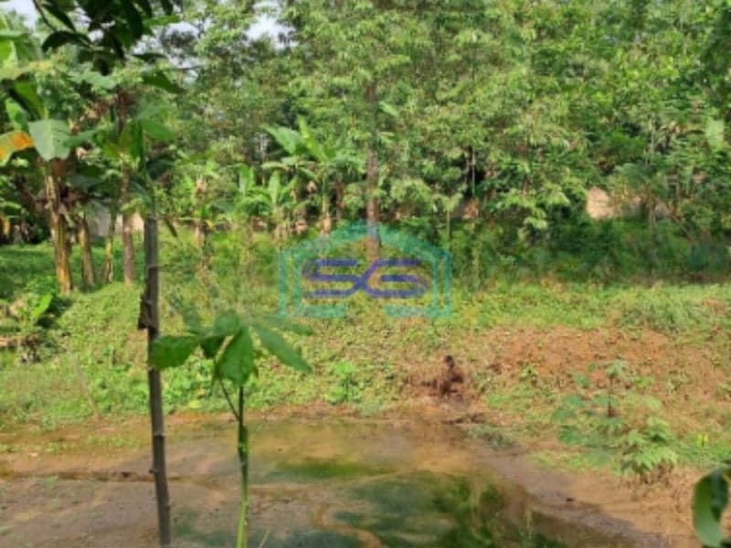 Dijual Tanah di Desa Cibodas Rumpin Bogor Jawa Barat Luas Tanah 3800m2