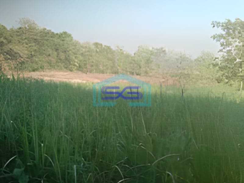 Dijual Lahan Zona Kuning Luas Tanah 40000m2 Lokasi Sukodono Sragen Jawa Tengah