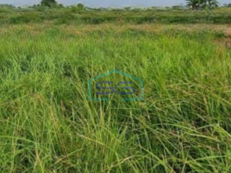 Land for Sale in Cikande Industrial Area, Serang, Banten