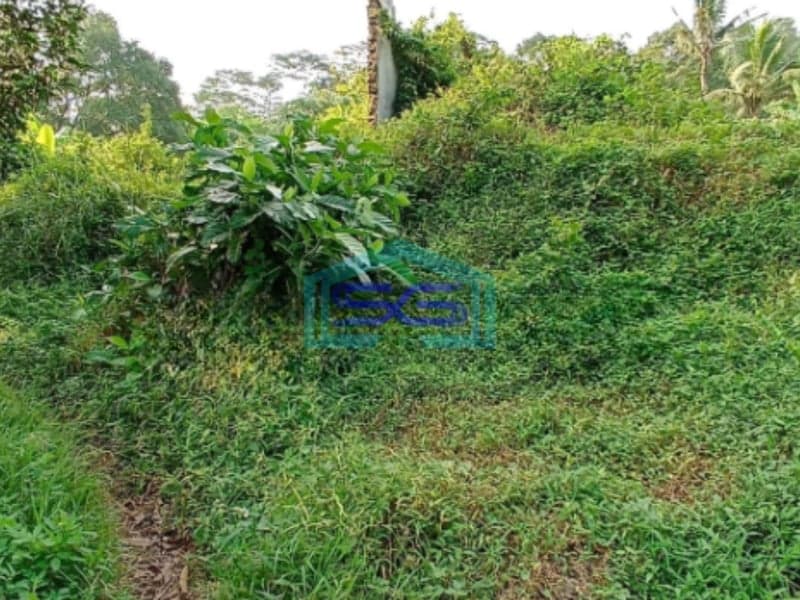 Dijual Tanah Dan Bangunan eks pabrik semen di Kaliwungu Kendal