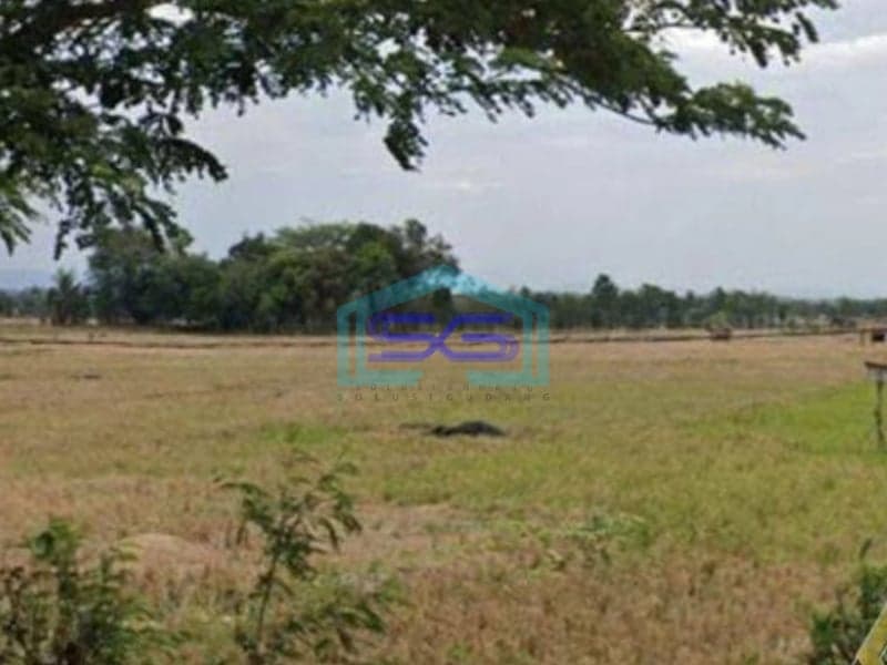 Dijual Cepat Tanah Zona Industri Lokasi di Jatiwangi Majalengka Luas 8 Ha