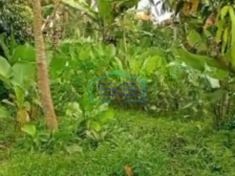 Affordable Land for Sale in Tabanan Bali 3300m2