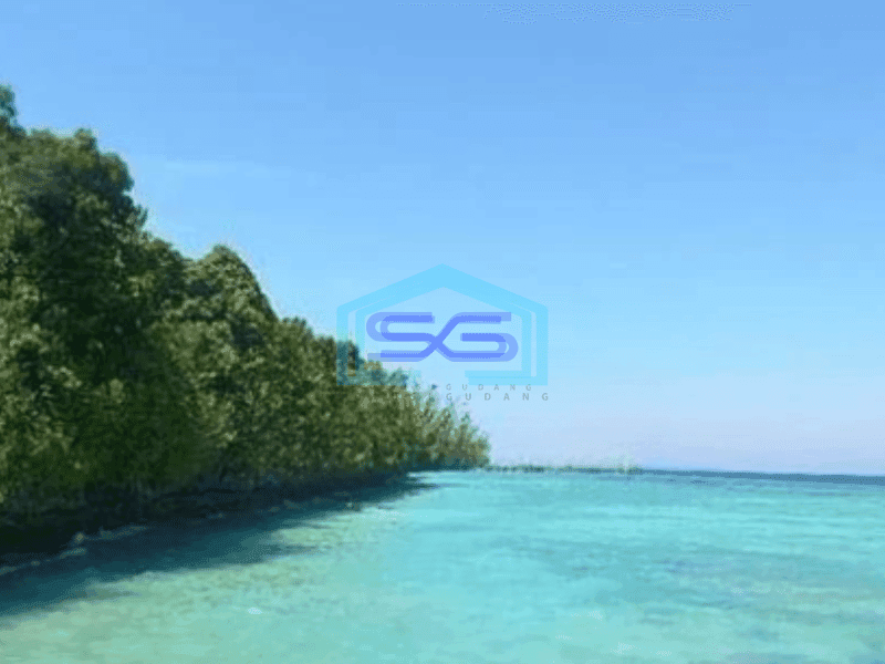 Dijual Tanah di Maratua Kalimantan Timur Luas 30000m²