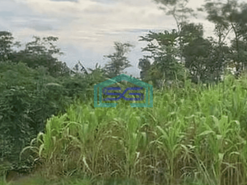 Dijual Tanah Cocok untuk gudang Batujajar Bandung Barat