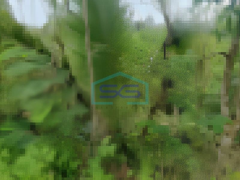 Dijual Tanah di Karangasem Bali LT 1.975 m2