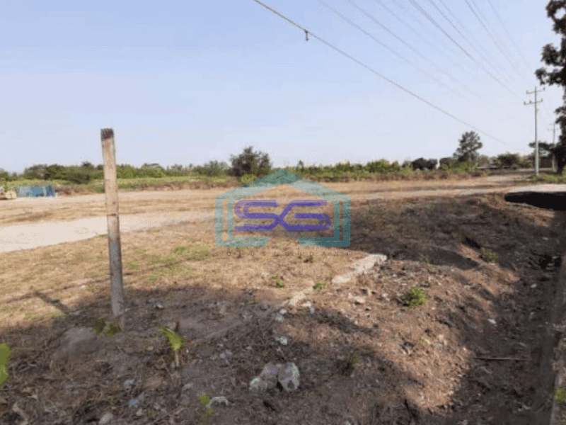 Dijual Tanah Harga nego Luas Tanah 25000 m² di Sewon Bantul Yogyakarta