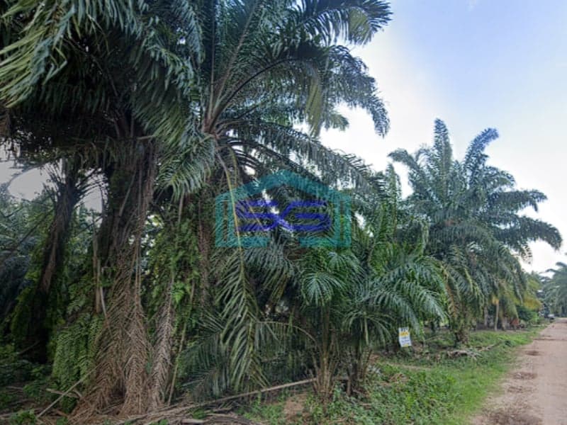 Dijual Tanah Luas 14000m2 Lokasi Siap Bangun di Jalan Tirto Mulyo Palembang
