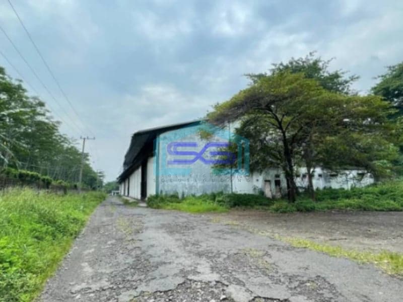 Dijual Tanah Plus Gudang di Ngoro Mojokerto Jawa Timur Luas Tanah 42522m2