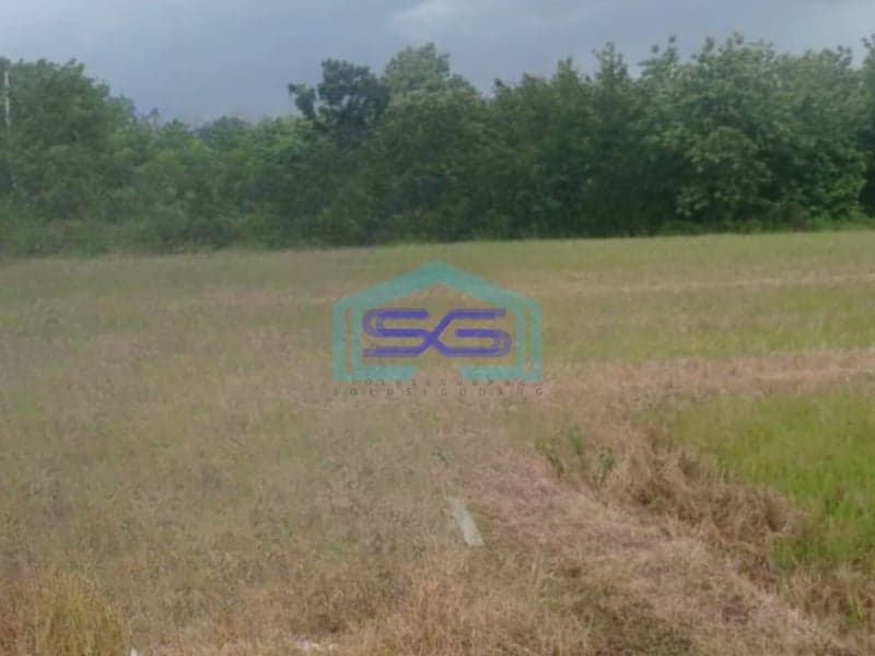 Dijual Tanah Luas 10445 m² Lokasi Bojonegoro Jawa Timur