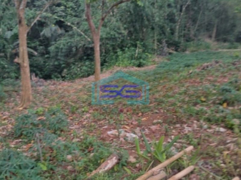 Dijual Tanah di Mekarsari Rumpin Bogor Luas Tanah 1700m2