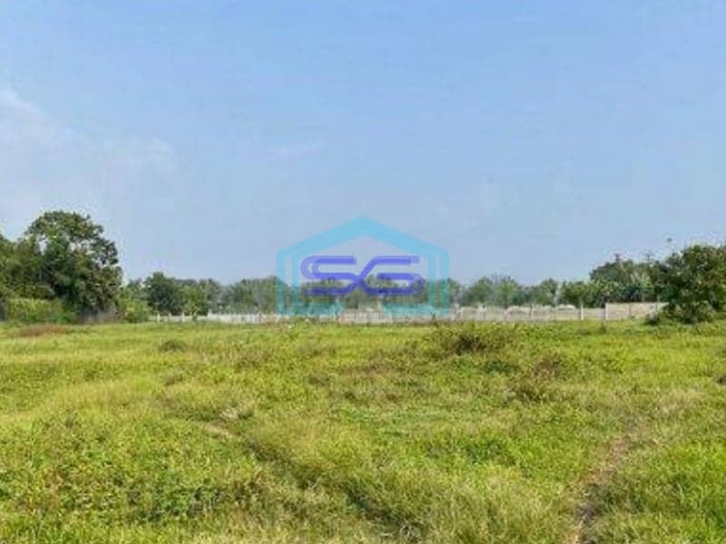 Dijual Tanah Cikupa Tanggerang Luas 8100m2