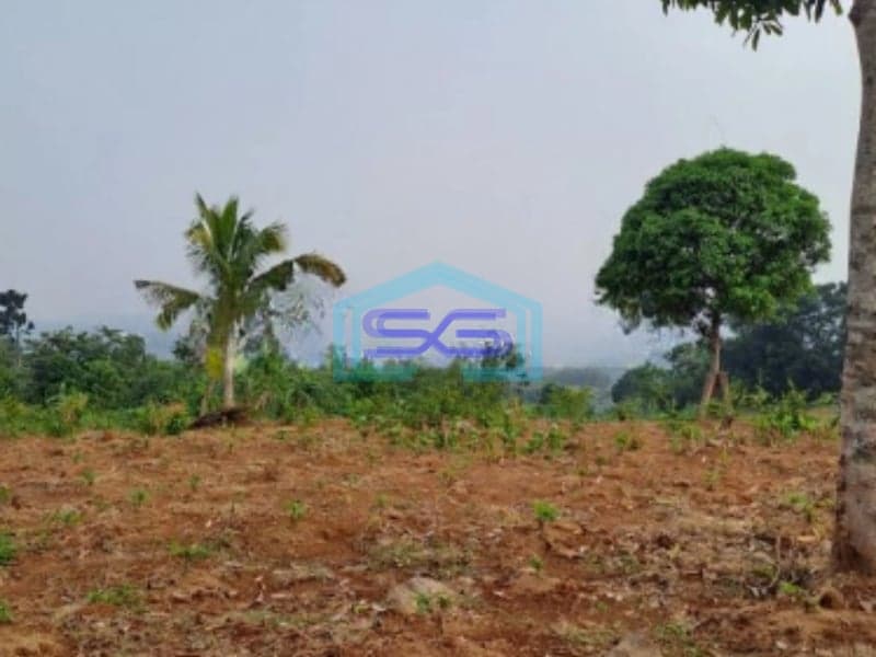 Dijual Tanah Murah Desa Cidokom Mekar jaya Rumpin Bogor Luas Tanah 10159m2
