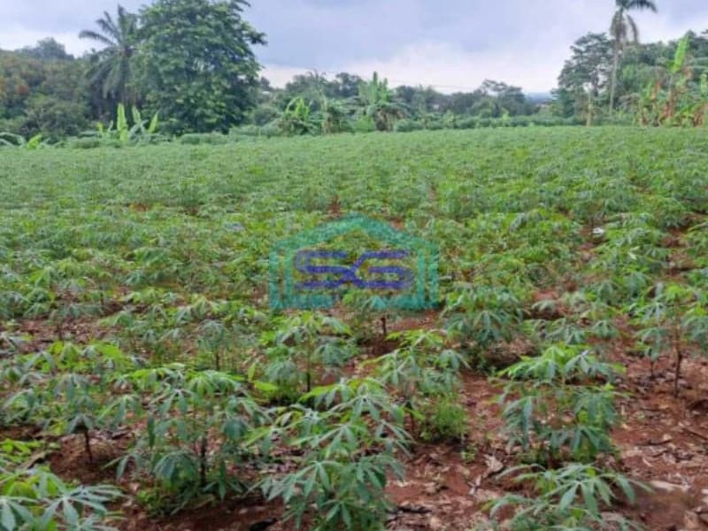 Dijual Tanah Dalam Kawasan Industri di Citeureup Bogor LT 30000m2
