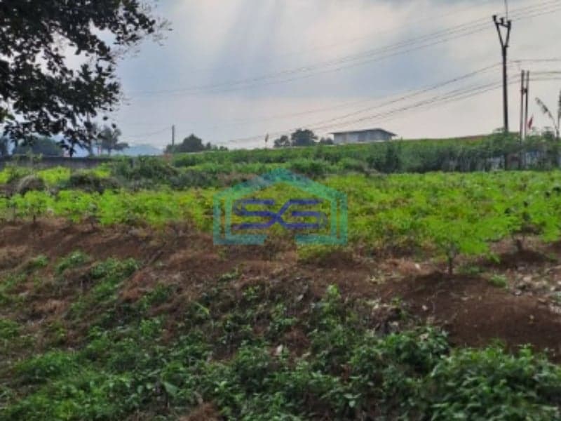 Dijual Tanah Ranca Bungur Bogor Jawa Barat Luas 50000m2