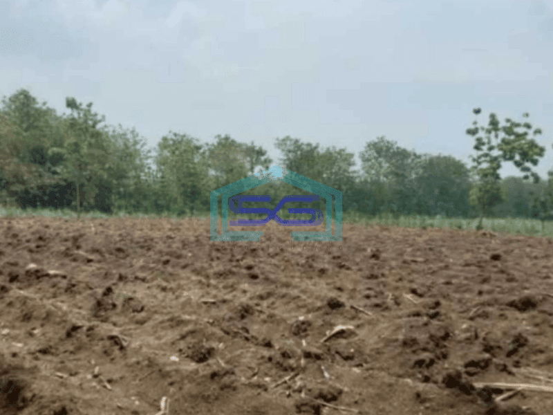 Dijual Tanah Zona Industri Strategis Tangen Sragen Luas 25 Ha