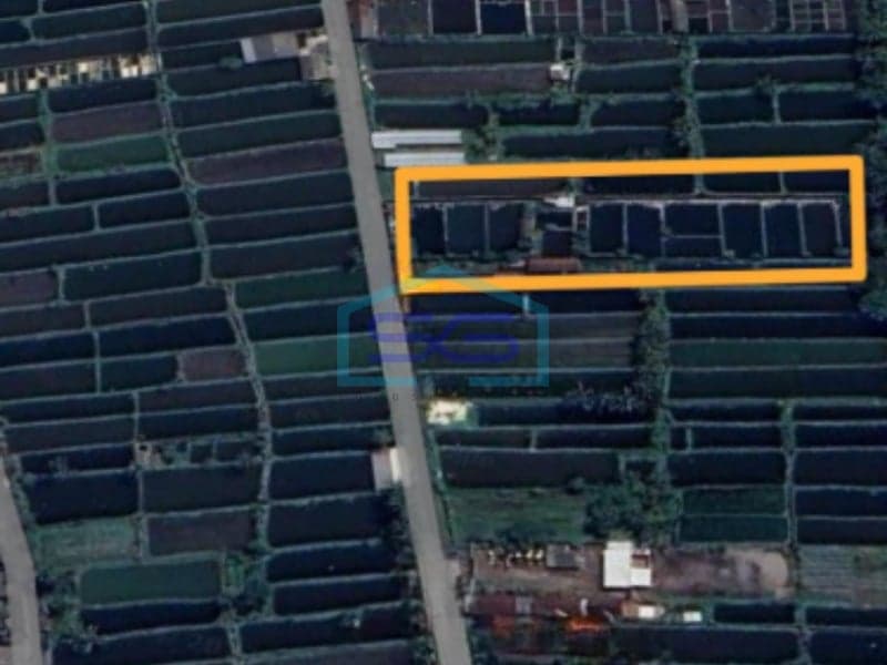 Dijual Tanah Akses Tronton Masuk di Sindumartani, Ngemplak, Sleman Yogyakarta LT 3700m2