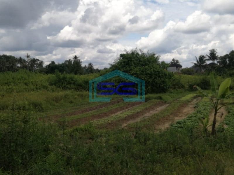 Dijual Tanah Luas Strategis Purwosari Celentang Palembang LT 21000m2