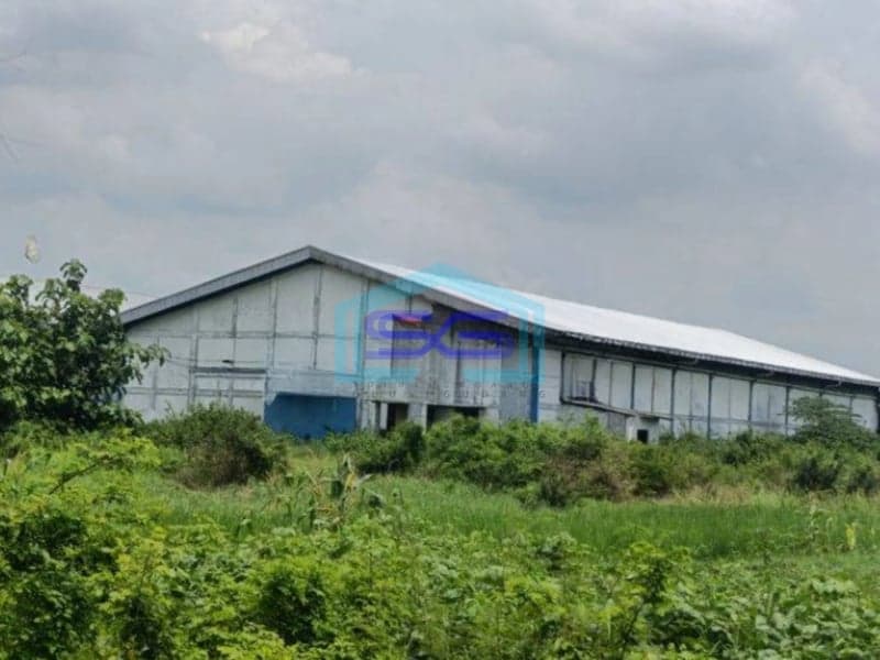 Dijual Gudang Murah Jl Raya Provinsi Balong Panggang Gresik Strategis Dekat Lamongan Mojokerto Dan Surabaya