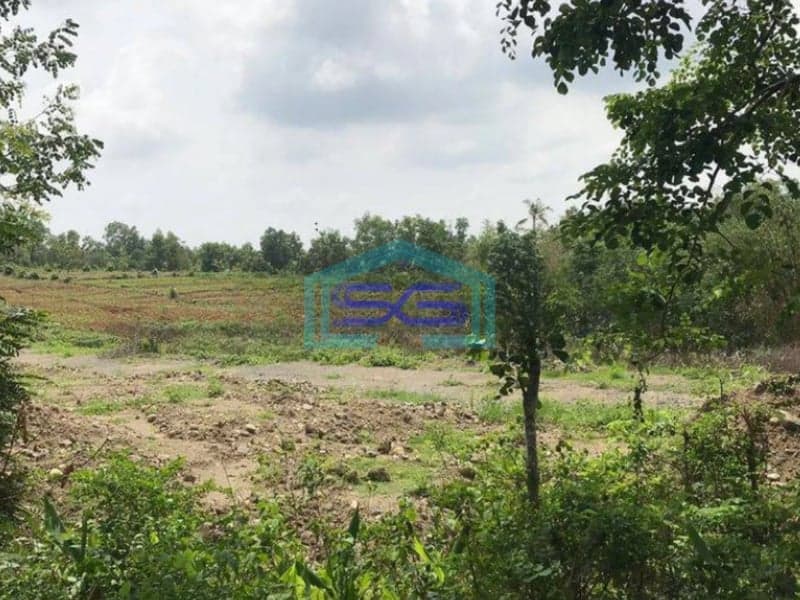 Dijual Tanah Besar Daerah Karanggede Boyolali LT 74999m2 Cocok Untuk Industri