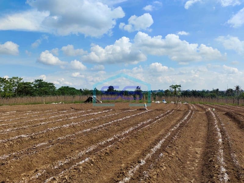 For Sale Land in Palembang City, South Sumatra Land Area 21270m²