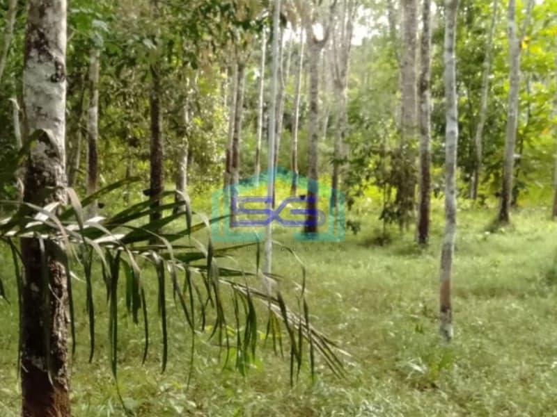 Dijual Tanah Plus 2 Unit Bangunan di Pulau Harapan Km 28 Jalan Palembang LT 17000m2