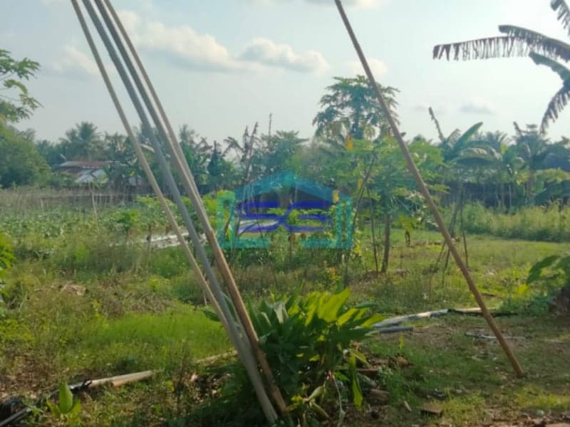 Dijual Tanah di Jalan Sukamoro Sei Hitam Palembang Banyuasin Luas 60000m2