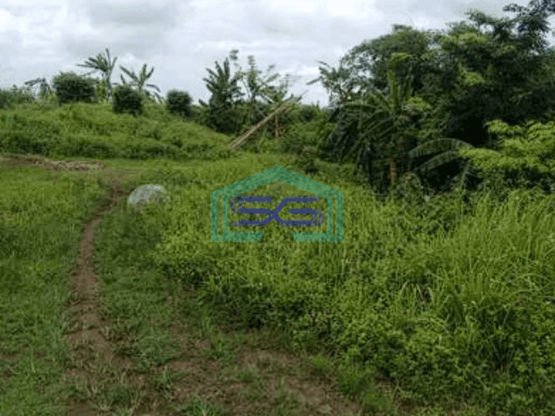 Dijual Tanah Siap Pakai Di Jl Raya Kresek Tangerang Luas 154931m2