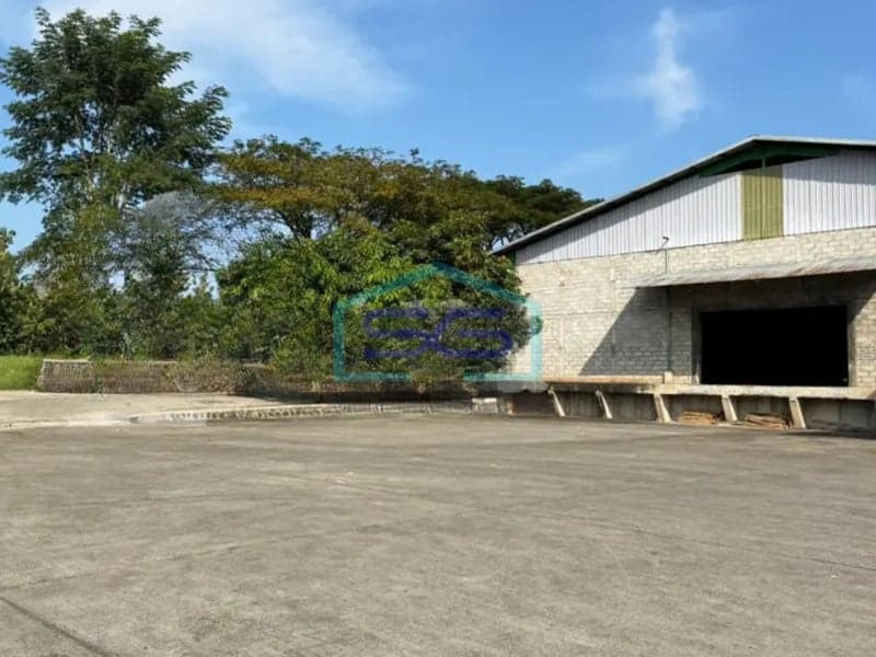 Dijual Gudang di daerah Plelen, Gringsing Batang Jawa Tengah Luas Tanah 41747 m²