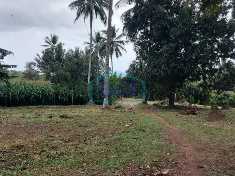 Dijual Tanah 2,3ha di Kauditan, Minahasa Utara Sulawesi Utara