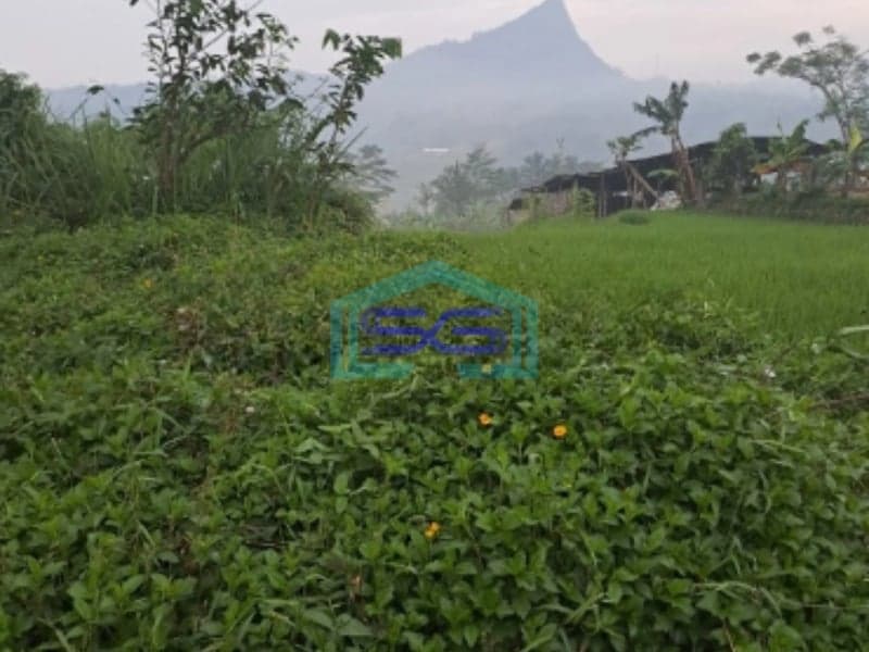Dijual Tanah Sukamakmur Bogor Nempel Jalan Provinsi LT 2000m2