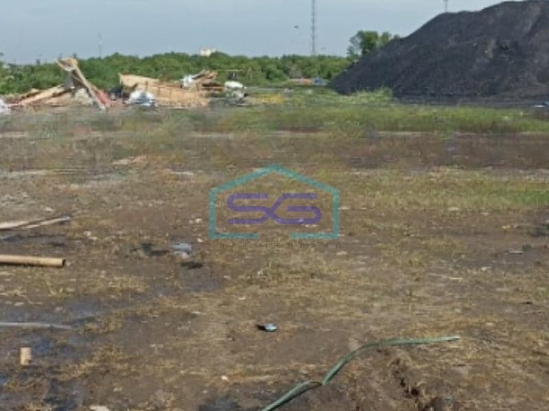 Disewakan Tanah Luas 3000 m² Lokasi di Kendal Jawa Tengah Sertifkat SHM