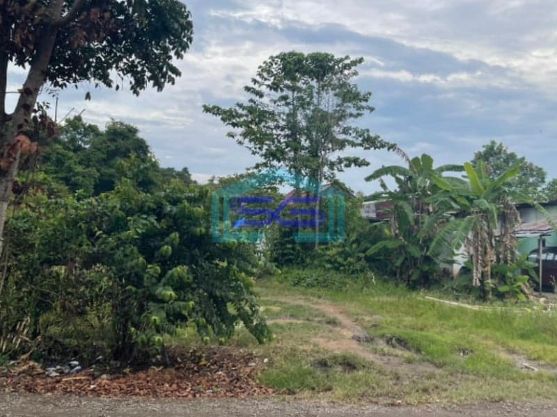 Dijual Tanah Keras Siap Bangun di Jalan Lingkar Randik Sekayu Sumatera Selatan LT 2920m2