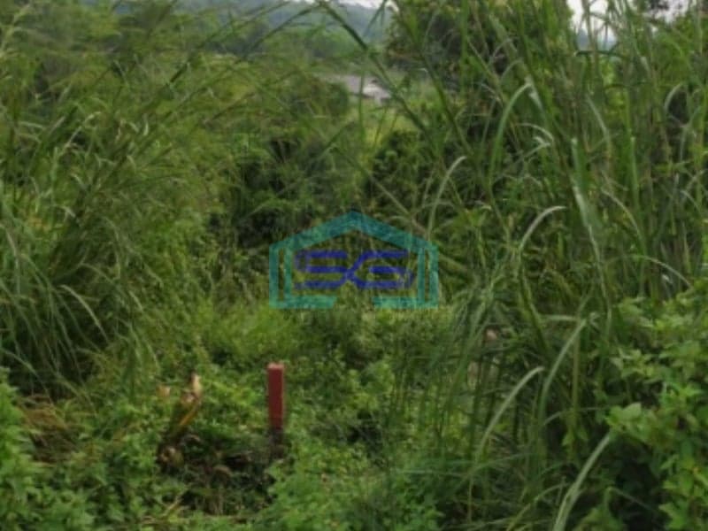 Dijual Tanah Kavling Luas 5891m2 di Jonggol Bogor Jawa Barat