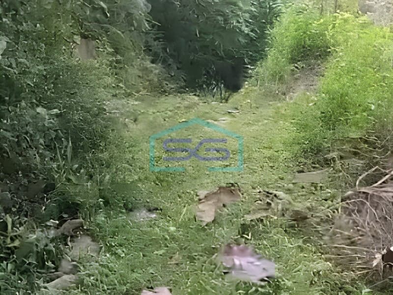 中爪哇卡拉尼亚加战略性即用型土地出售，土地面积 150,000 平方米