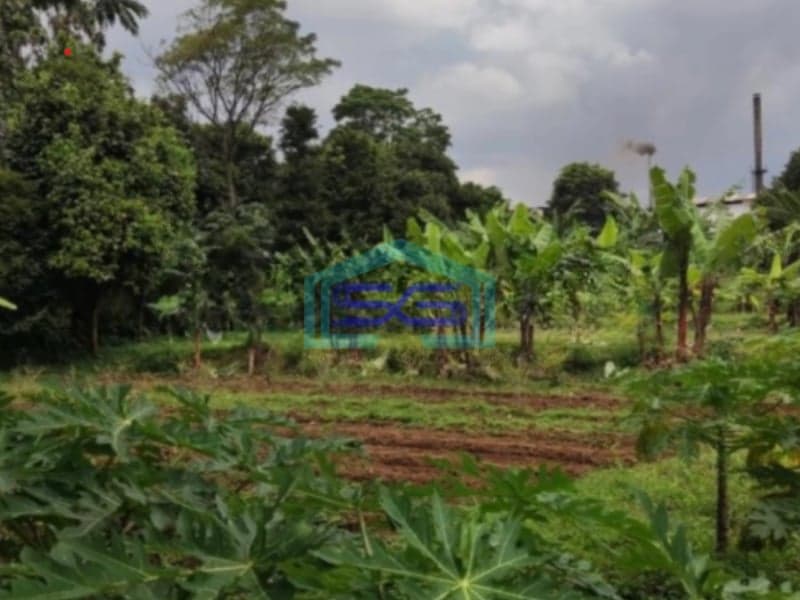 Dijual Tanah Di Rancamaya Bogor Luas Tanah 10895m2 SHM