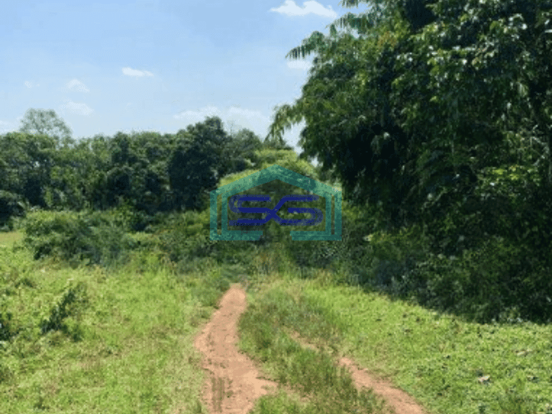 Dijual Tanah Luas 9013 m² Akses Container 40 Feet di Cikeusal Serang