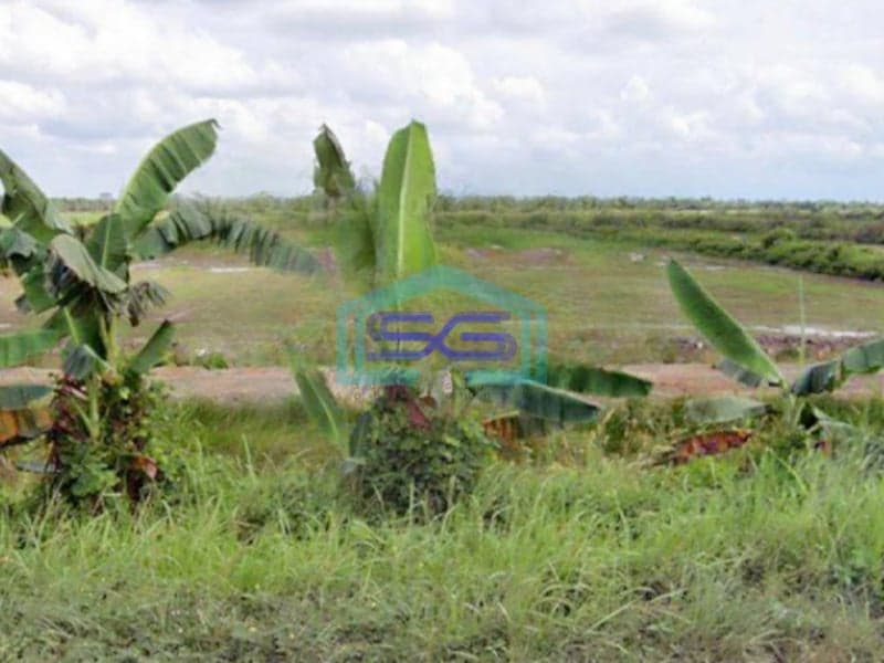 Dijual Tanah di Kawasan Ekonomi Khusus Kek Tanjung Api Api Palembang Sumatera Selatan