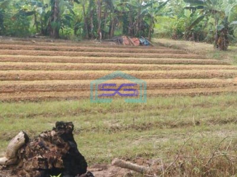 Dijual Tanah Kondisi Bagus di Balikpapan LT 9512m2