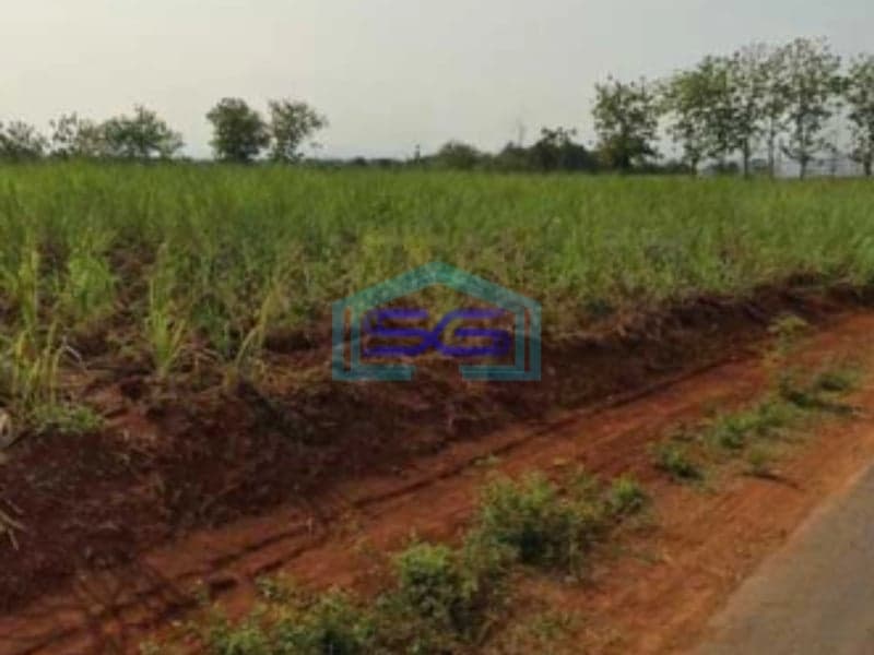 Dijual Tanah Dalam Zona Industri Lokasi Mayong Jepara Tengah Luas 35000m2