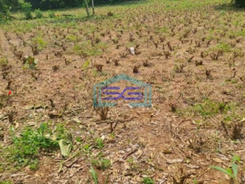 Dijual Tanah Di Kemang Bogor Luas Tanah 3500m2 SHM