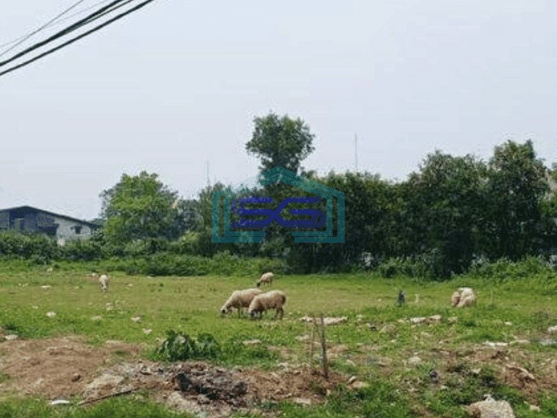 Dijual Kavling area Balaraja Tangerang Lokasi bagus dan strategis akses kontainer 40 feet ijin industri